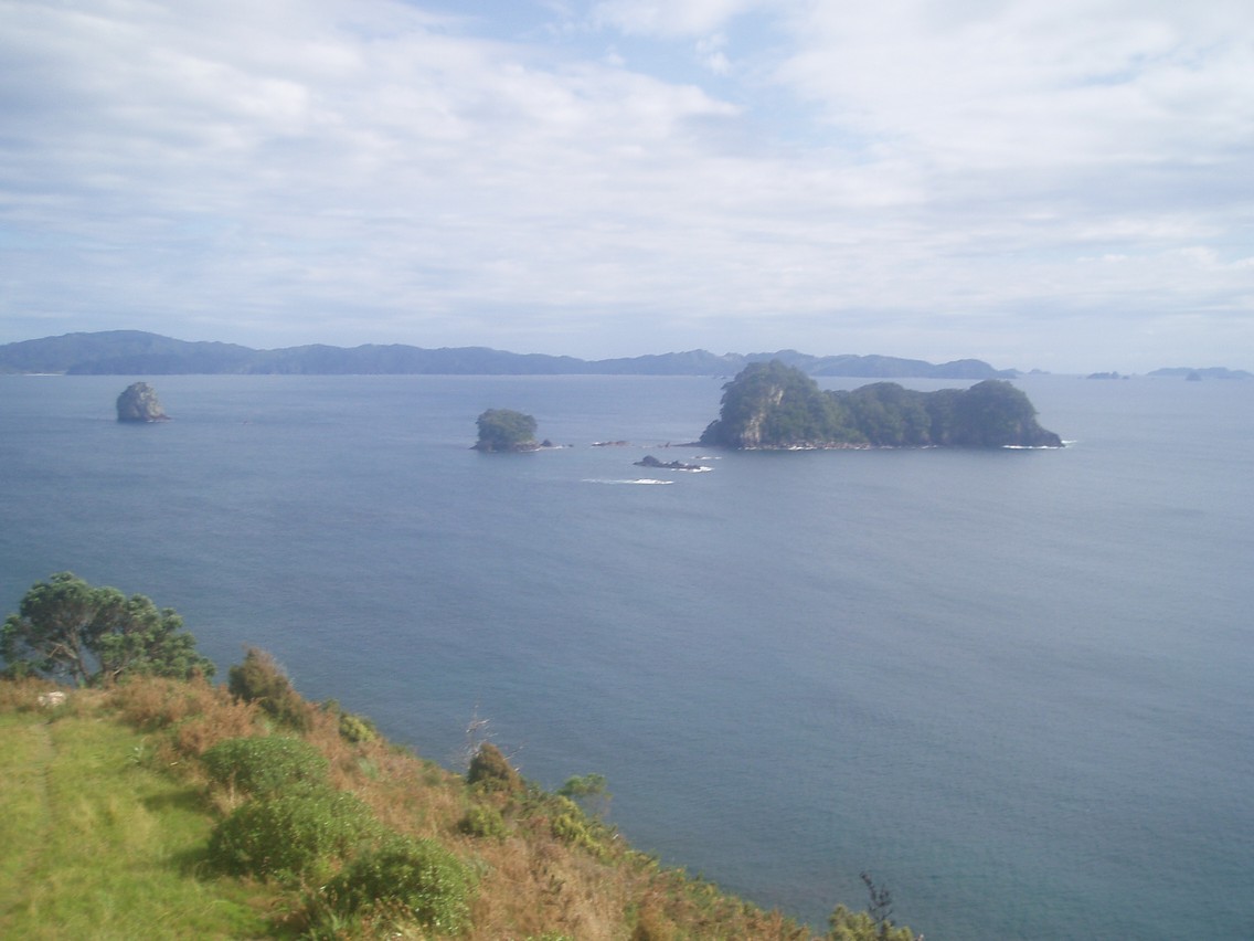 433   06 02   Coromandel   Cathedral Cove